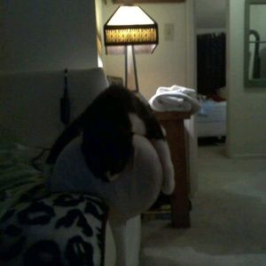 Meet your Posher, Teri